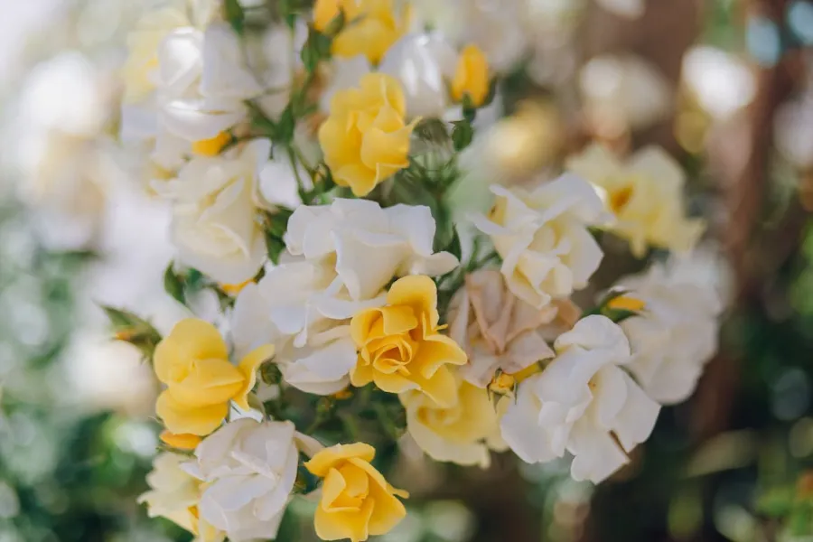 Fragrance Layering Tips For Long-Lasting Scent