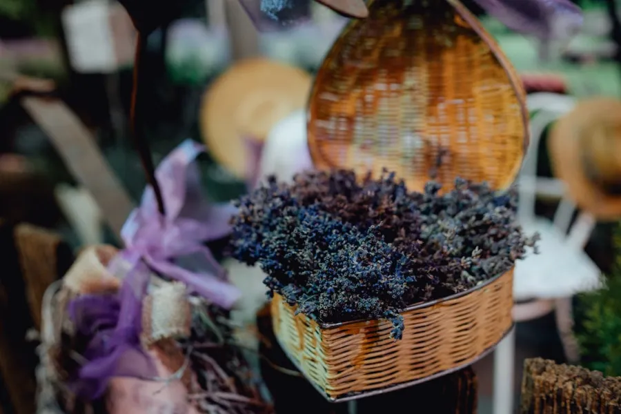 Ultimate Perfume Longevity Guide